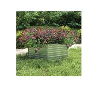 Lit surélevé de jardin 129x45 cm Acier galvanisé Argenté