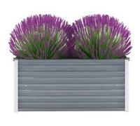 Lit surélevé de jardin Acier galvanisé 100x40x45 cm Gris Gris G