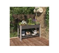 Lit surélevé de jardin avec étagère Gris 200x50x75 cm WPC jardinière vidaXL