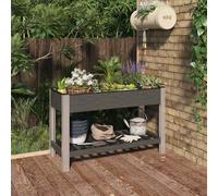 Lit surélevé de jardin avec étagère Gris 200x50x75 cm WPC jardinière vidaXL
