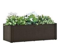 Lit surélevé de jardin avec système d arrosage Moka 100x43x33cm G