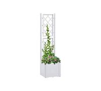 Vidaxl Lit Surélevé De Jardin Et Treillis Et Système D'arrosage Blanc Blanc