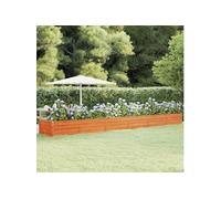 Lit surélevé de jardin rouillé 600x80x45 cm acier corten