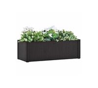 Prolenta Premium – Lit surélevé de jardin Système d'arrosage 100×43×33 cm Anthracite
