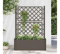 Lit Surélevé de Jardin Treillis Système d'Arrosage Anthracite Patio vidaXL