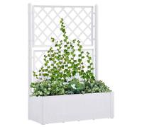 Lit Surélevé de Jardin Treillis Système d'Arrosage Anthracite Patio vidaXL