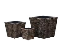 Lit Surélevés 3 pcs Jacinthe d'Eau Pot à Fleurs Jardinière Jardin vidaXL