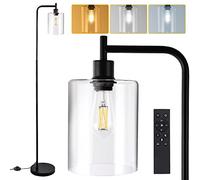 Litake Lampadaire Salon Noir, Lampadaire Industriel Dimmable avec Abat-jour en Verre Clair - Télécommande et Pédale, Lampe LED offrant 800 Lumens de Lumière Blanche (2700K-6500K)