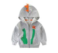 LitBud Enfants Garçons sweat à capuche pour tout-petits Dinosaure Dessin animé Parc du monde Crocodile Fermeture éclair Packaway Veste Automne Manteau Gris 5-6 Ans 6T Noël cadeau