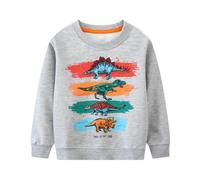 LitBud Pull pour Enfant Garçons Sweatshirt Vêtements Enfants Sportswear Dinosaures Coton Jumper Pullover T Shirt Manches Longues Gris Atomne Hiver Taille 4-5 Ans 5T Action de grâces Noël Cadeaux