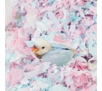 Literie confortable pour petits animaux, matériau en papier de coton, améliore l'environnement de reproduction, contrôle des odeurs à faible poussière pour oiseaux, perroquets, perruches, cochons
