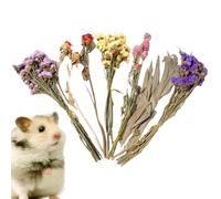 Literie De Fleurs Pour Hamster - Décoration Naturelle D'herbes Séchées Et De Cage Florale Pour Petits Animaux, Décoration D'habitat De Gerbille, Lapin, Hérisson, Matériel De Nidification Désodorisant