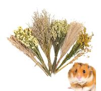 Literie Florale Pour Hamster - Literie Pour Hamster À Fleurs Séchées, Décor D’habitat Floral Animal | Literie De Fleurs De Foin Pour Hamster, Décoration De Cage À Thème Naturel, Accessoires De Cage De