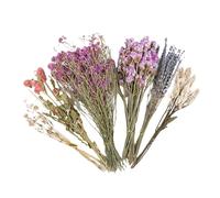 Literie naturelle pour hamster - Fleurs séchées, herbes, décor désodorisant d'été, fournitures de cage d'aménagement paysager | Fleurs de lettre de printemps, manoir de conte de fées pour chinchilla