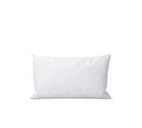 BELLECOUR LITERIE - Oreiller 40x60 cm CHAMBORD - Duvet & Plumes Blanc