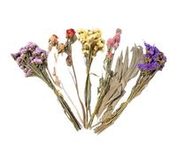 Literie pour hamster à fleurs séchées, décoration naturelle pour cage de gerbille - Décoration, pour les mariages, les fêtes à thème, Noël, Pâques, les festivals d'art, les parents d'animaux