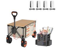 LiTHELi FrozenPack Glacière sans fil avec chariot pliable et plateau de table, 12/24/240 V, réfrigérateur sac à dos, 150 l, 60 kg, chariot pliable pour camping, voyage, camping-car, avec 4 batteries