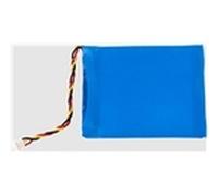 Lithium ion battery for s550