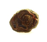 Lithophyse. 205.1 Ct. Massif De L'esterel, Var, France