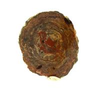 Lithophyse. 232.6 Ct. Massif De L'esterel, Var, France