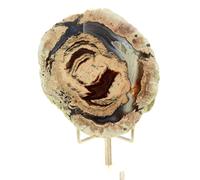 Lithophyse. 329.0 Ct. Massif De L'esterel, Var, France.