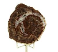 Lithophyse. 332.25 Ct. Massif De L'esterel, Var, France.