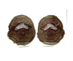 Lithophyse. 3960.0 Ct. Massif De L'esterel, Var, France.