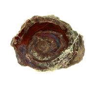 LITHOPHYSE - Pierre Naturelle en Provenance de France, Massif de l'Esterel, Var, Provence-Alpes-Côte d'Azur - Roche Polie avec Certificat