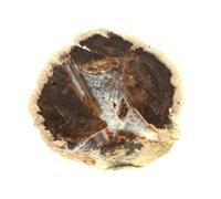 Lithophyse. 93.0 Ct. Massif De L'esterel, Var, France.