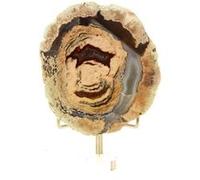 LITHOPHYSE EN PROVENANCE DE MASSIF DE L'ESTEREL, VAR, FRANCE - Pierre Naturelle en provenance de France, Roche Cristalline Rare 271.5 ct - Certificat d'Authenticité Inclus 52 x 47 x 20 mm G