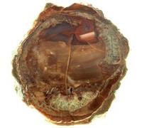 Lithophyse. 195.5 Ct. Massif De L'esterel, Var, France.