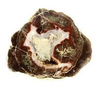 LITHOPHYSE - Pierre Naturelle en Provenance de France, Massif de l'Esterel, Var - Roche Polie avec Certificat d'Authenticité Inclus 111.5 ct - 40 x 33 x 15 mm G