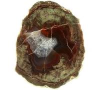 LITHOPHYSE - Pierre Naturelle en Provenance de France, Massif de l'Esterel, Var - Roche Polie avec Certificat d'Authenticité Inclus 147.0 ct - 46 x 35 x 15 mm G