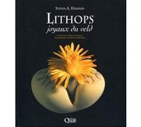 Lithops, joyaux du veld