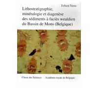 Lithostratigraphie, Minéralogie Et Diagenèse Des Sédiments À Faciès Wealdien Du Bassin De Mons (Belgique)