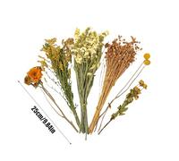 Litière De Hamster À Fleurs - Litière De Fleurs De Foin De Hamster | Décor D'habitat De Fleurs De Petits Animaux | Litière De Fleurs D'animaux Fleurs Animaux Habitat Décoration De Thème Naturel Décora