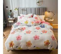 litière Flanelle Chaude à Chaud Ensemble Couvercle Couette Floral avec Couvre-Housse de Feuille d'hiver (Couleur: C Taille: Double) (B Twin)