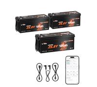 LiTime 3 Pièces Batterie Lithium 24V 100Ah Bluetooth Compatible avec Victron Système, Communication CAN/RS485, BMS 100A LiFePO4 4000+ Cycles Profondes, pour Camping-Car Caravane Système Off-Grid