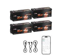 LiTime 4 Pcs Batterie Lithium 24V 100Ah avec CAN/RS485 pour Panneau Solaire | LiFePO4, Bluetooth, 100A BMS, Max. 15000 Cycles, Énergie 2560Wh, Protection Anti-froid, Max 4P4S, pour Bateaux, Yacht, Pêche