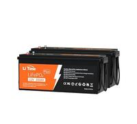 LiTime Batterie 12V 200Ah Plus Lithium LiFePO4 2PCS, 200A BMS 4000+Cycles Profonds, Puissance de Sortie maximale de 2560W, Parfait pour RV, Solaire, Marine, Hors réseau