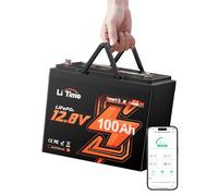LiTime Batterie Lithium 12V 100Ah Mini avec Bluetooth pour Camping-Car, RV