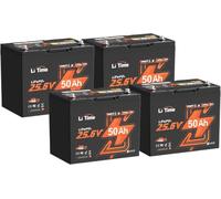 LiTime Batterie Lithium 24V 50Ah avec Bluetooth pour Bateaux, Pêche (4 Pcs)