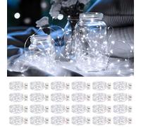 litogo 24 Guirlandes Lumineuses à piles avec Minuterie, 20 LED, 3 Modes éclairage intérieur et extérieur, fil argenté étanche de 2,1 m, Mini Guirlande Lumineuse pour Jardin Pot Mason Noël,Blanc Froid