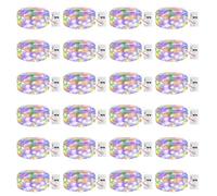 litogo 24 Guirlandes Lumineuses à piles avec Minuterie, 20 LED, 3 Modes éclairage intérieur et extérieur, fil argenté étanche de 2,1 m, Mini Guirlande Lumineuse pour Jardin Pot Mason Noël,Multicolore
