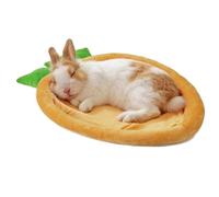 Lits pour animaux de compagnie Coussin de couchage moelleux
