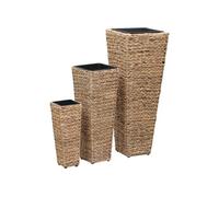 Vidaxl Lits Surélevés De Jardin 3 Pcs Jacinthe D'eau Marron Marron