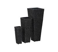 Vidaxl Lits Surélevés De Jardin 3 Pcs Jacinthe D'eau Noir Noir