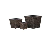 Lits surélevés de jardin 3 pcs Jacinthe d'eau Marron