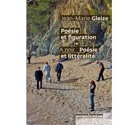 Littéralité Poésie et littéralité - Jean-Marie Gleize - Questions Theoriques - broché - Essai