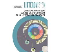 Littérovision Un regard différent sur 100 grands romans de la littérature française - Michel Bernardin - Le Bord De L'eau Eds - broché - Essai